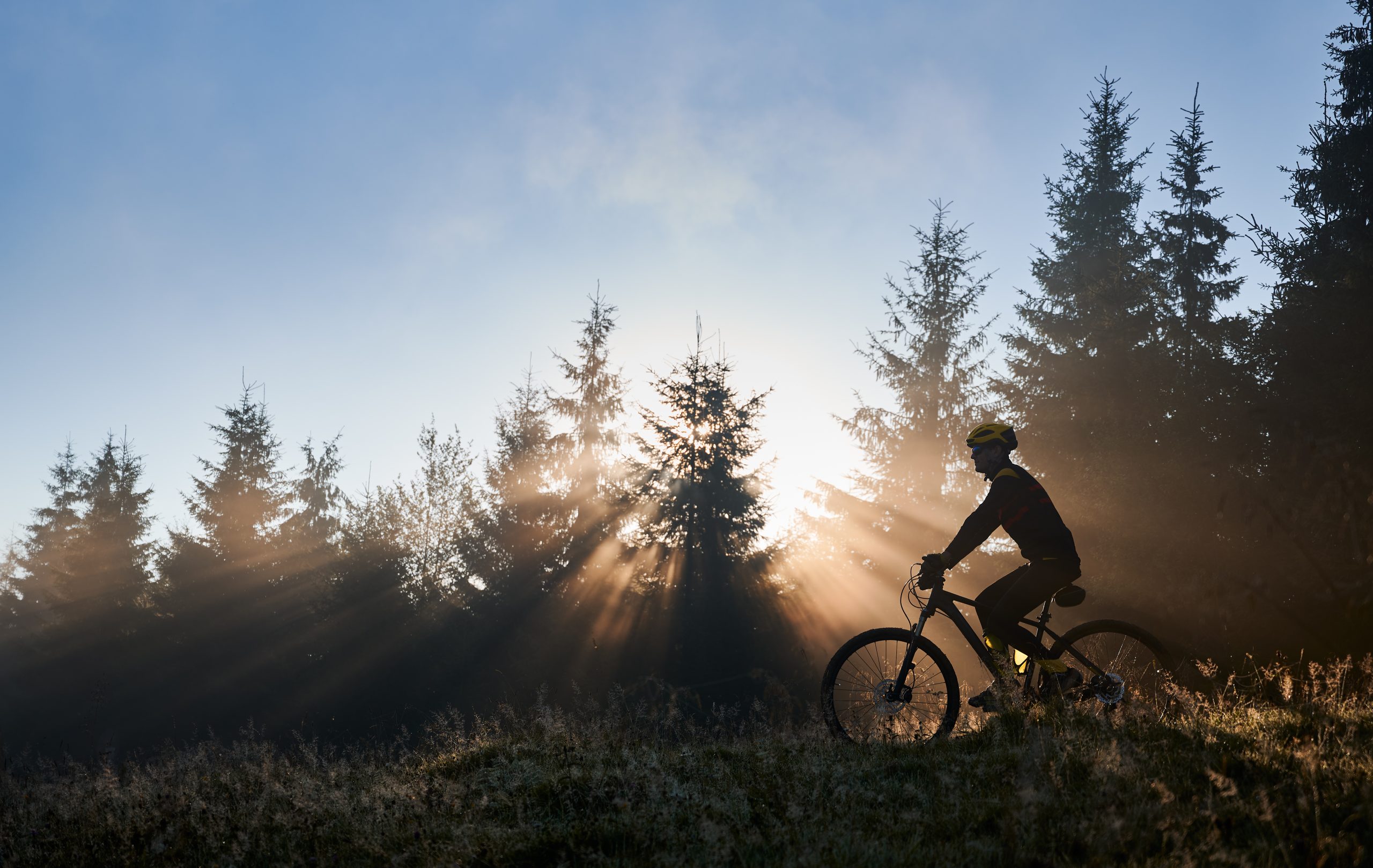 Horizontal snapshot of man riding his bike in the mountains in early foggy morning. Sun beams get through wall of evergreen spruces and enlight silhouette of cyclist. Concept of mountains ride